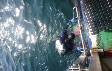 Wyjazaz Na wrak Heweliusza i Bornholm