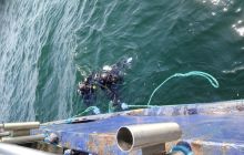 Wyjazaz Na wrak Heweliusza i Bornholm