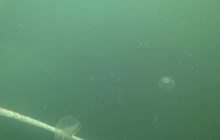 Wyjazd na Heweliusza i Bornholm