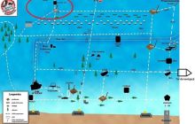 Wyjazd nurkowy na Honoratkę