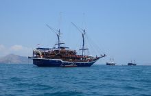 Zdjęcia z wyprawy na Komodo i Bali