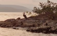 Zdjęcia z wyprawy na Komodo i Bali