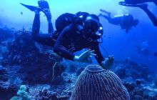 Zdjęcia z wyprawy na Komodo i Bali