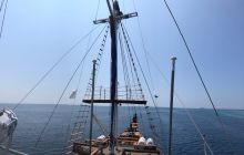 Zdjęcia z wyprawy na Komodo i Bali