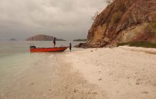 Zdjęcia z wyprawy na Komodo i Bali