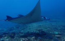 Zdjęcia z wyprawy na Komodo i Bali