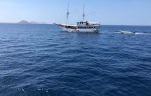 Zdjęcia z wyprawy na Komodo i Bali