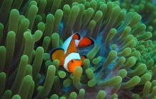 Zdjęcia z wyprawy na Komodo i Bali