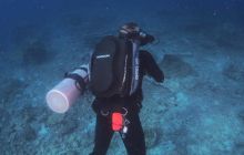 Zdjęcia z wyprawy na Komodo i Bali