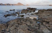 Zdjęcia z wyprawy na Komodo i Bali