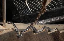 Zdjęcia z wyprawy na Komodo i Bali