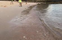 Zdjęcia z wyprawy na Komodo i Bali