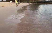 Zdjęcia z wyprawy na Komodo i Bali