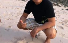 Zdjęcia z wyprawy na Komodo i Bali