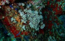 Zdjęcia z wyprawy na Komodo i Bali