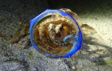 Zdjęcia z wyprawy na Komodo i Bali