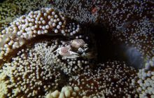 Zdjęcia z wyprawy na Komodo i Bali