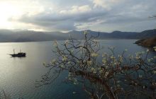 Zdjęcia z wyprawy na Komodo i Bali