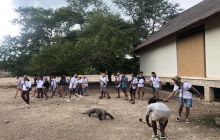 Zdjęcia z wyprawy na Komodo i Bali