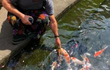 Zdjęcia z wyprawy na Komodo i Bali