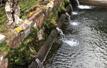 Zdjęcia z wyprawy na Komodo i Bali