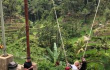 Zdjęcia z wyprawy na Komodo i Bali