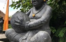 Zdjęcia z wyprawy na Komodo i Bali