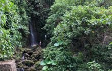 Zdjęcia z wyprawy na Komodo i Bali