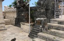 Zdjęcia z wyprawy na Komodo i Bali