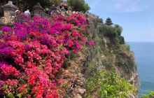 Zdjęcia z wyprawy na Komodo i Bali