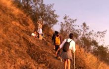 Zdjęcia z wyprawy na Komodo i Bali