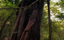 Zdjęcia z wyprawy na Komodo i Bali