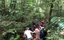 Zdjęcia z wyprawy na Komodo i Bali