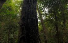 Zdjęcia z wyprawy na Komodo i Bali
