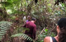 Zdjęcia z wyprawy na Komodo i Bali