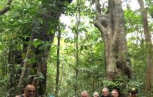 Zdjęcia z wyprawy na Komodo i Bali