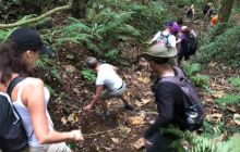 Zdjęcia z wyprawy na Komodo i Bali