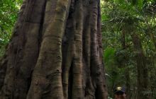 Zdjęcia z wyprawy na Komodo i Bali