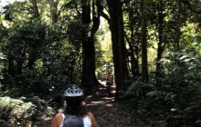 Zdjęcia z wyprawy na Komodo i Bali