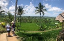 Zdjęcia z wyprawy na Komodo i Bali