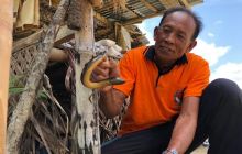 Zdjęcia z wyprawy na Komodo i Bali