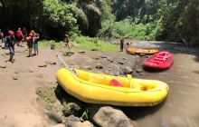 Zdjęcia z wyprawy na Komodo i Bali