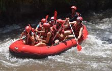 Zdjęcia z wyprawy na Komodo i Bali