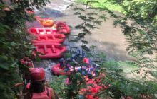 Zdjęcia z wyprawy na Komodo i Bali