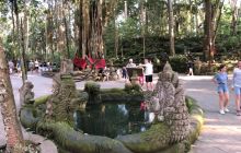 Zdjęcia z wyprawy na Komodo i Bali