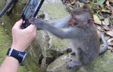 Zdjęcia z wyprawy na Komodo i Bali