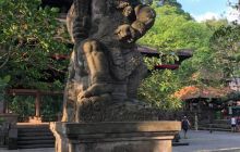 Zdjęcia z wyprawy na Komodo i Bali