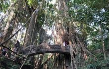 Zdjęcia z wyprawy na Komodo i Bali