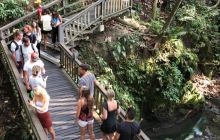 Zdjęcia z wyprawy na Komodo i Bali