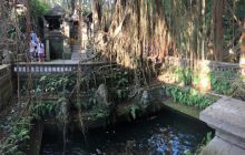 Zdjęcia z wyprawy na Komodo i Bali